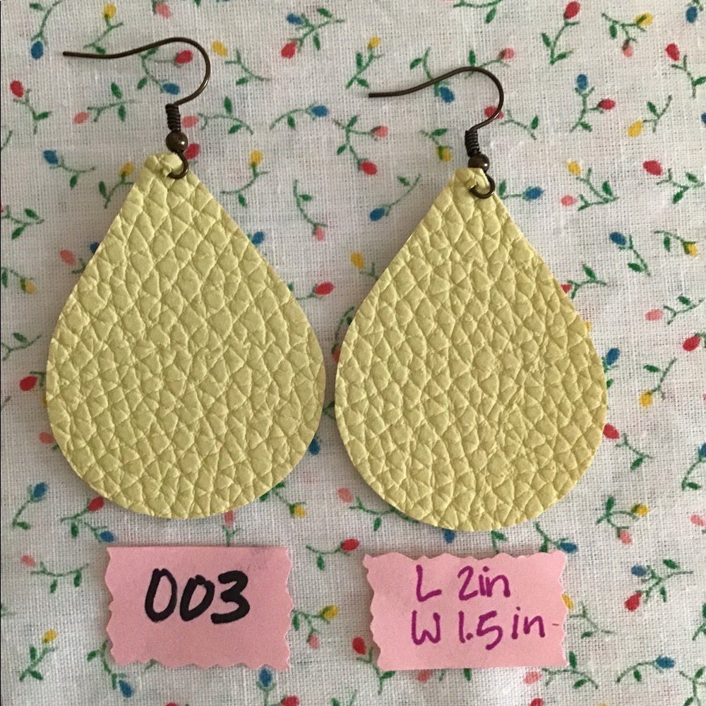Brand New Earrings